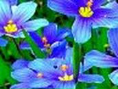 Евгения Богатырева | Запорожье