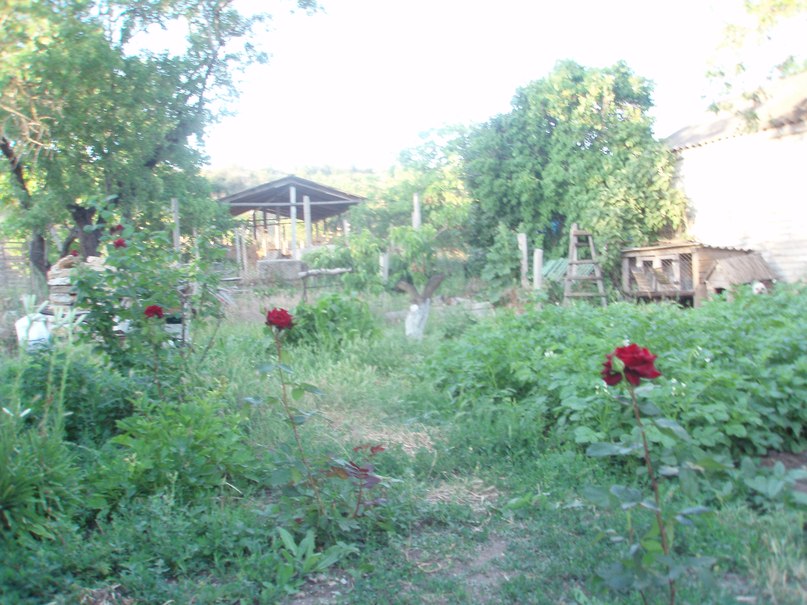 Эльвиночка Шаипова ♥Эля♥меля♥карамелЯ♥ | Симферополь