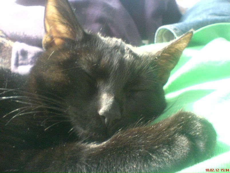 №128, Марина Комарова, 14.02, Киев №128, Марина Комарова, 14.02, Киев