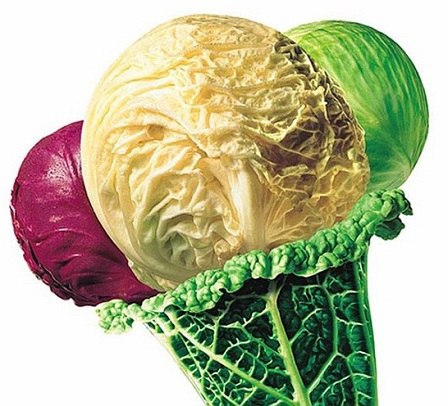 Liybov Chekhunova | Brisbane