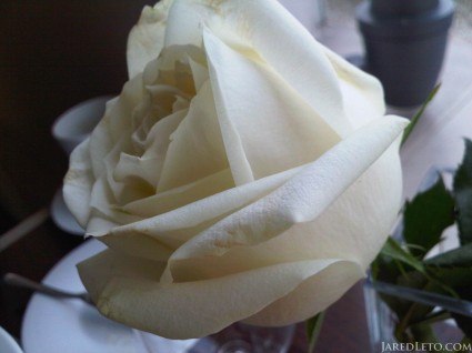 Ира Лавринович Lavrik | Минск