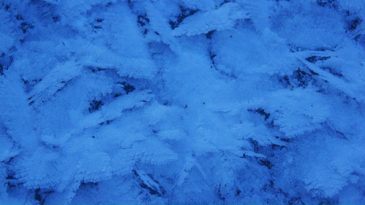 Евгения Киселёва | 