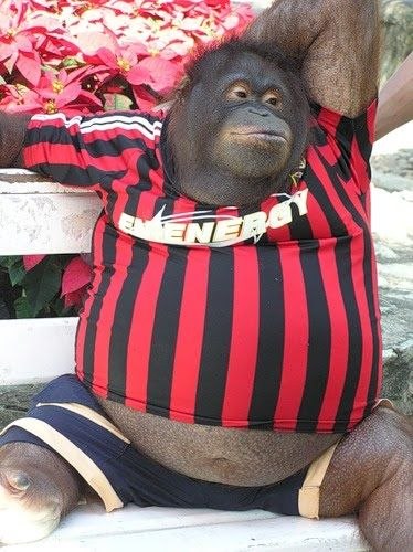 Антон Лялин | 