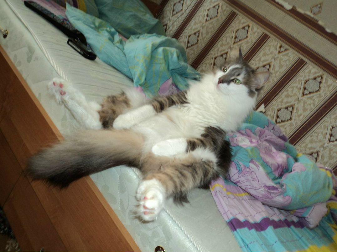 Катюшка Жевагина | 