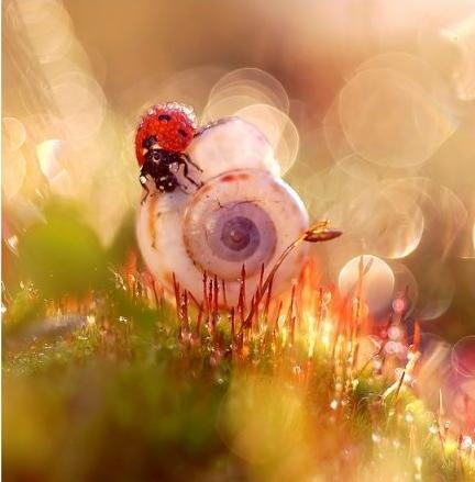 Кристина Святюк | Москва