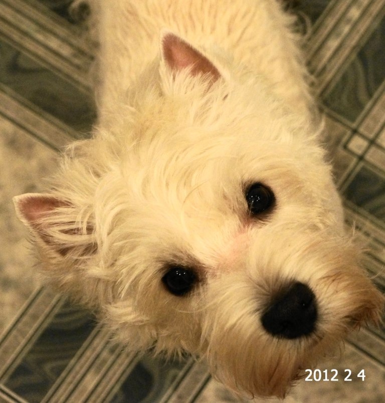 Сергей Чубыкин | Новокузнецк