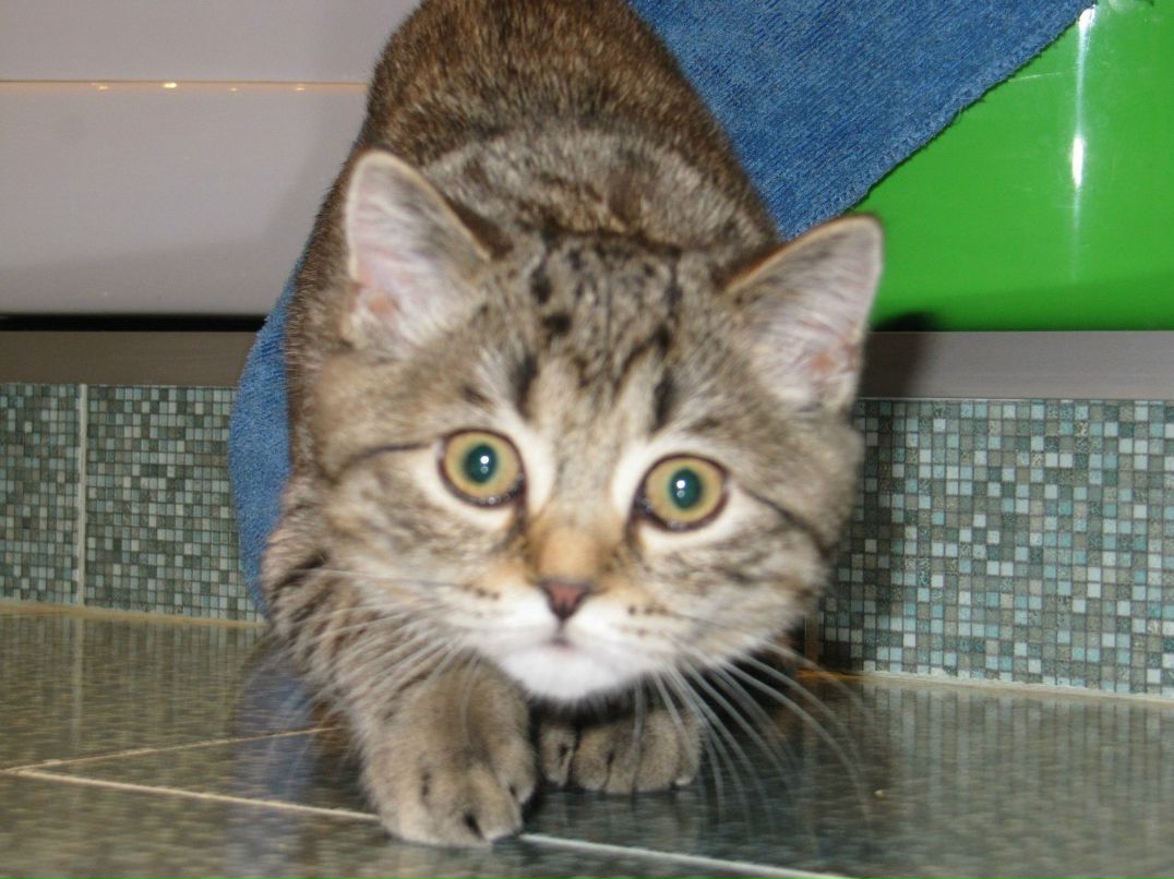 Вероника Губанова | Новокузнецк