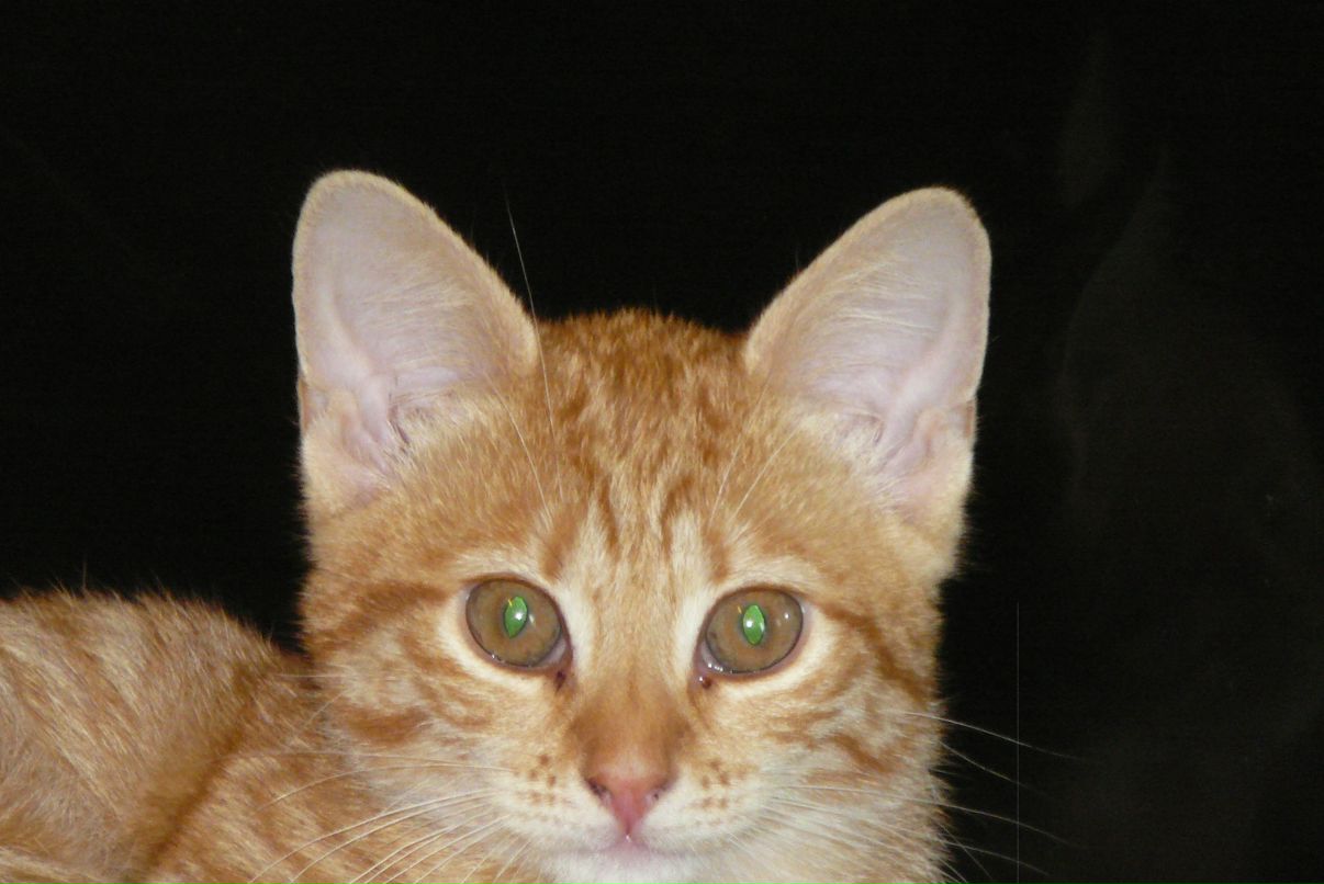 Георгий Нестер | Минск