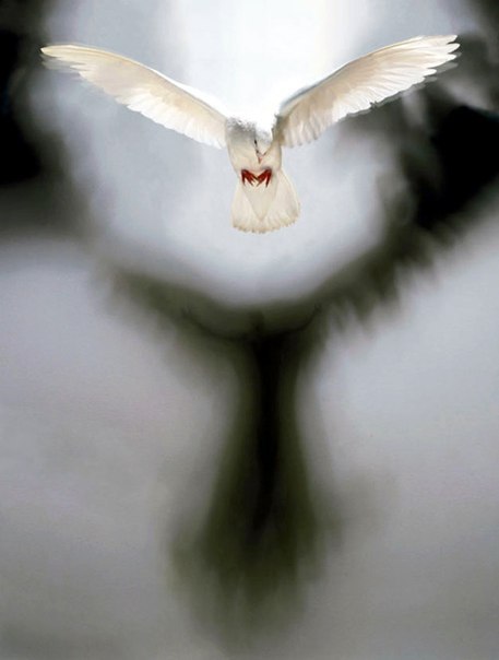 Сергей Давиденко | Энергодар