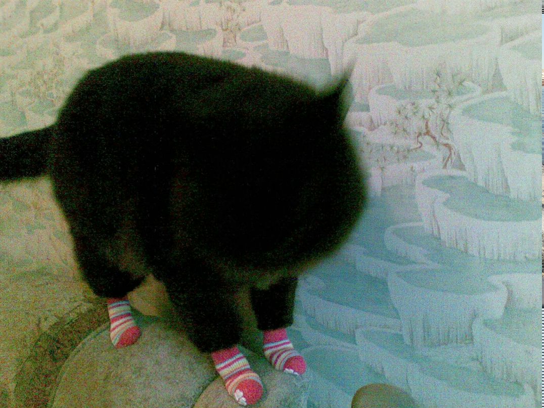 Катя Быстрикова | Москва