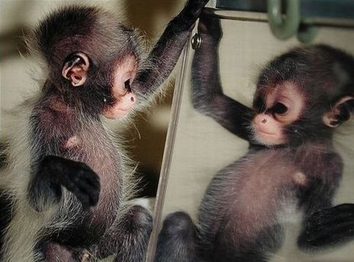 Александр Ступчик | Алешки / Цюрупинск