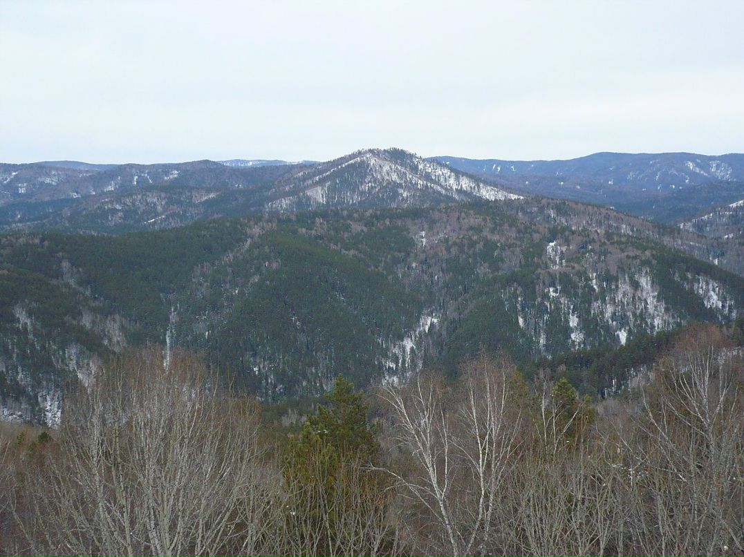 Сергей Рябухин | Калининград