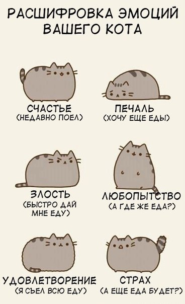 Елена Маркова Айна | Липецк