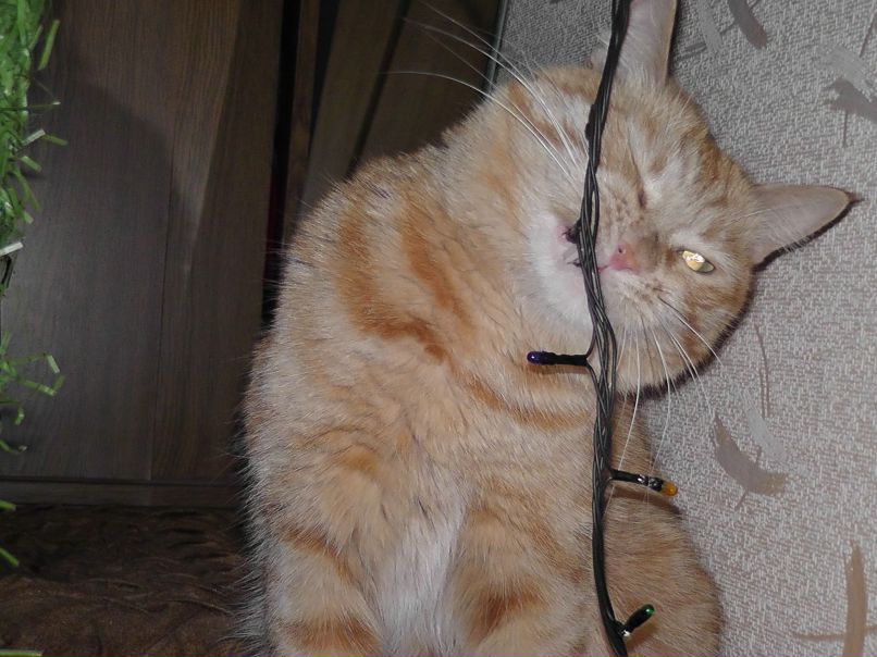 Иван Диордиев | Красноярск