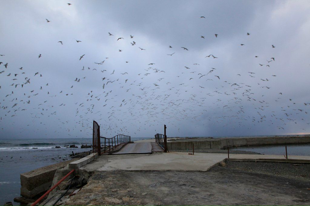 Роман Алексеев | Анапа