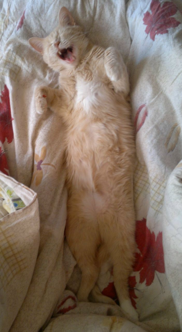 Иван Евдокименко | Мончегорск