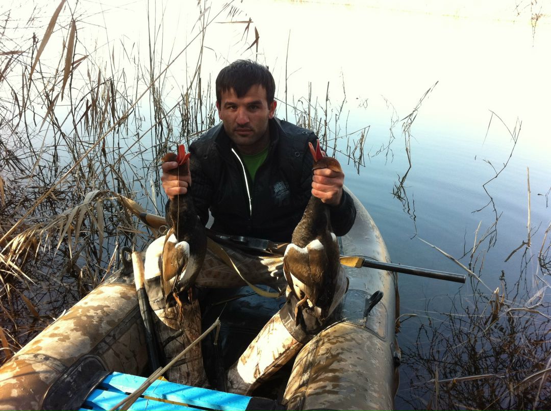 Али Сафоев | Санкт-Петербург
