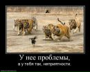 №14 Татьяна Митакович 11.03: профиль, фото, статус - ВКонтакте