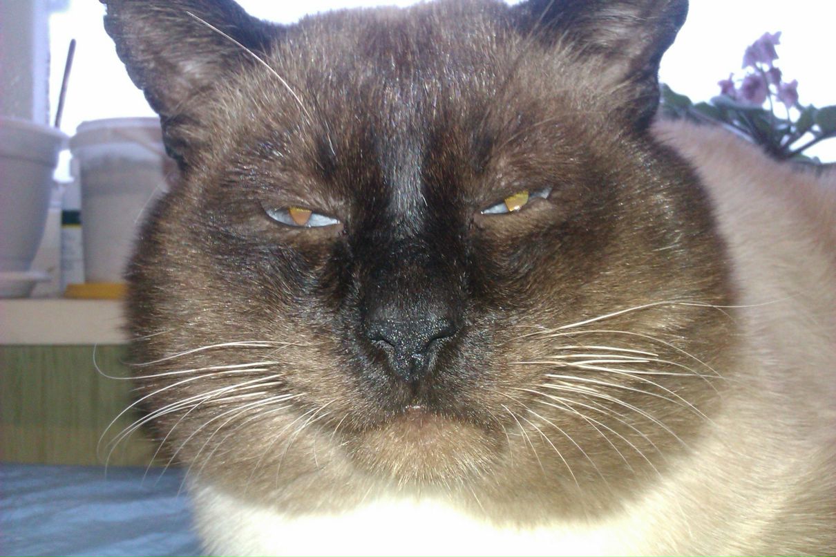 Денис Богатов | Иваново