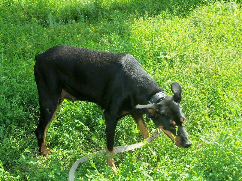 №5, Елена Мусиенко, Харьков №5, Елена Мусиенко, Харьков