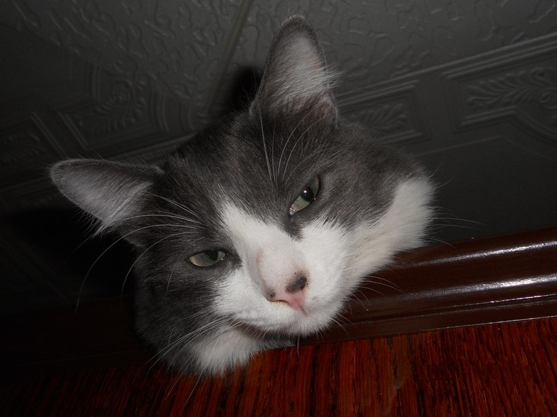 Виталий Полянский | 