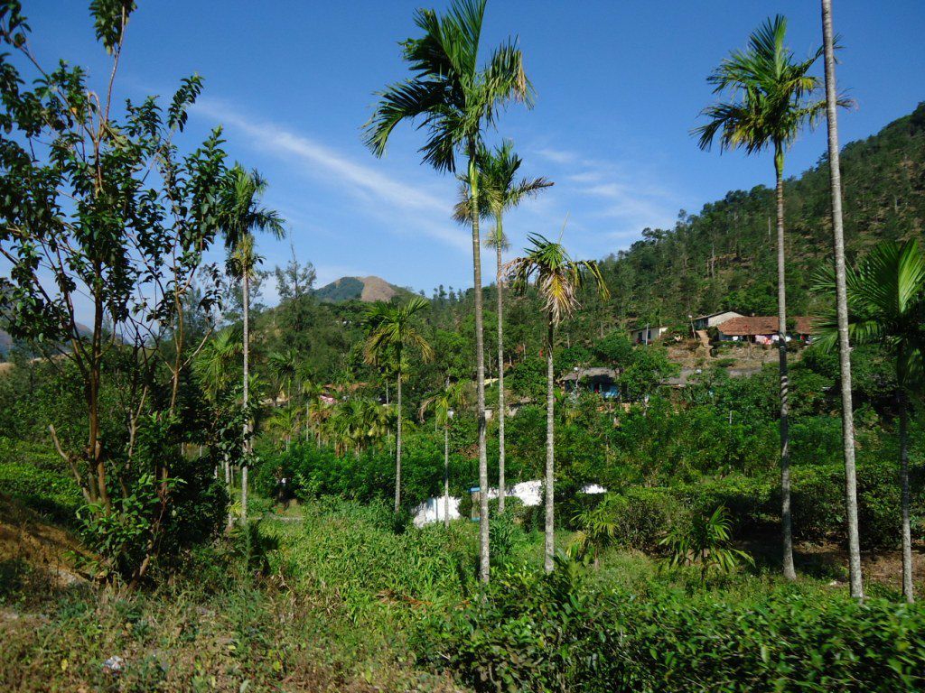 Игорь Червоный | Киев