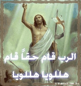 Sam Dani | Минск