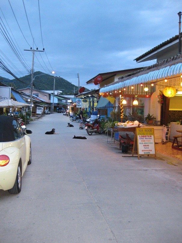 Феофана Ромашкина | Санкт-Петербург