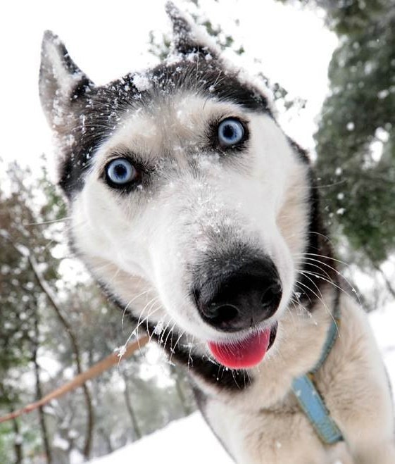 Артем Любивый BigT | Москва