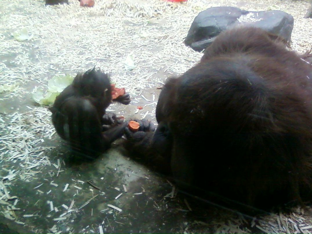 Фархат Байрамов | Москва