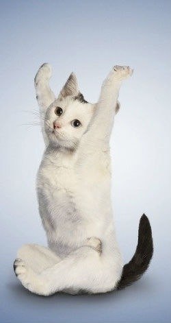 Julea Ivanchuk | Петрозаводск