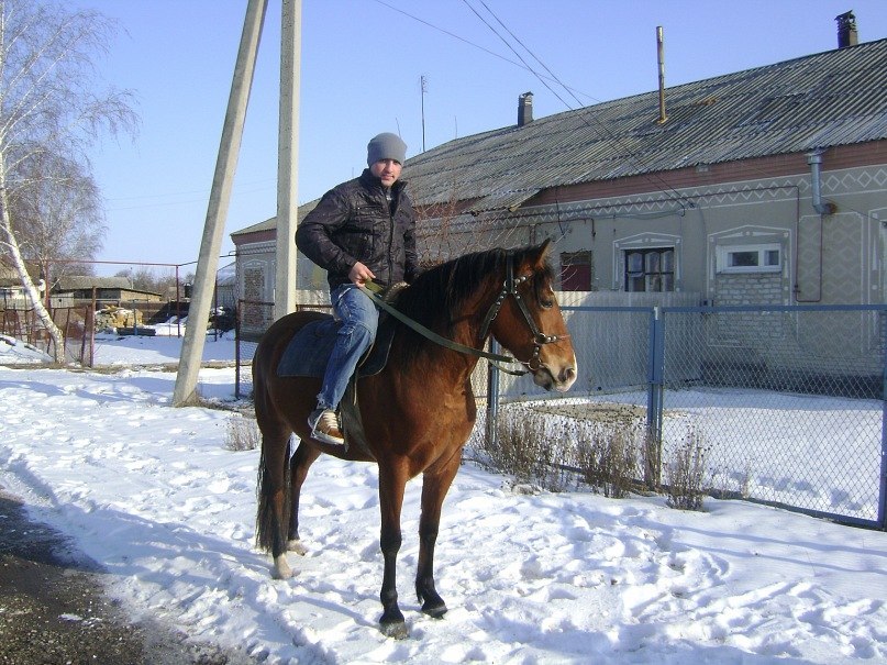 Андо Согомонян | Харьков