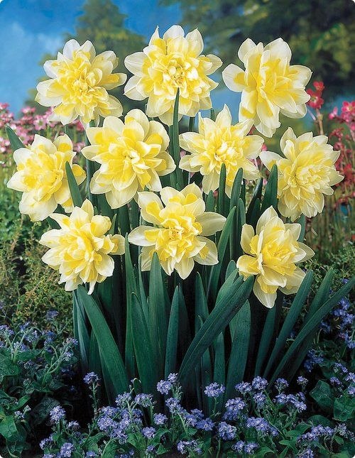 Ольга Духтанова | Ижевск