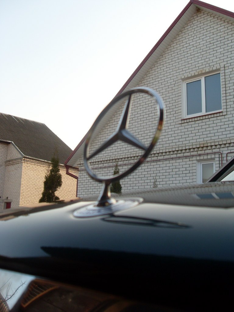 Женя Ганисевский | Волковыск