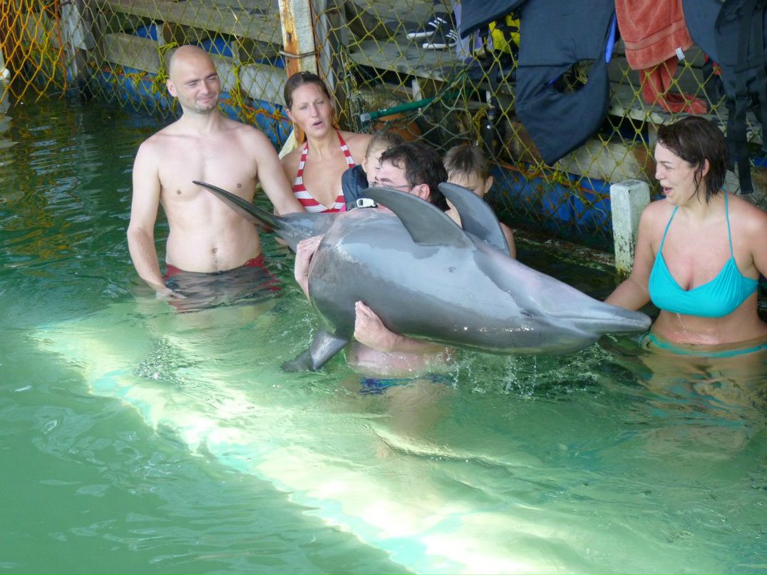 Николай Греков | Красноярск