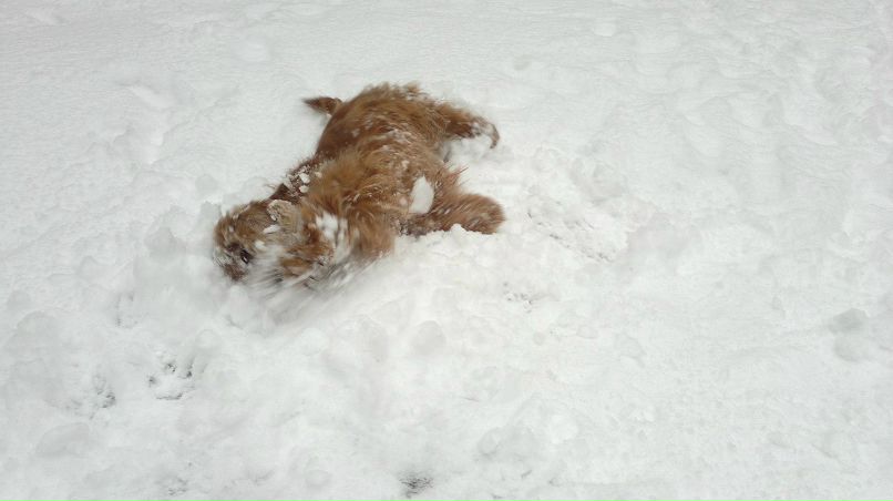 Геннадий Игонин | Херсон