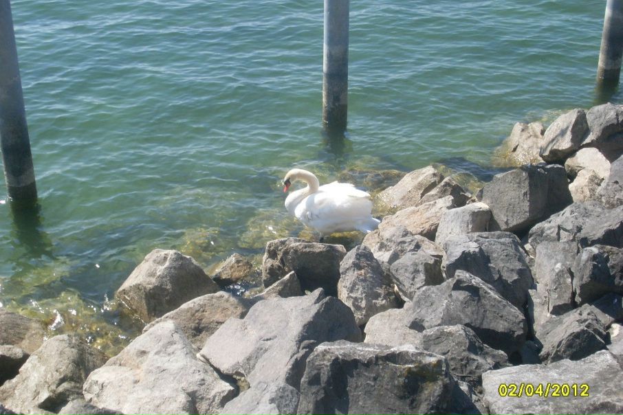 №62, Ирина Цембер, Сыктывкар №62, Ирина Цембер, Сыктывкар