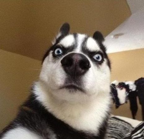 Артемий Сафонов >:Quaint:< | Москва