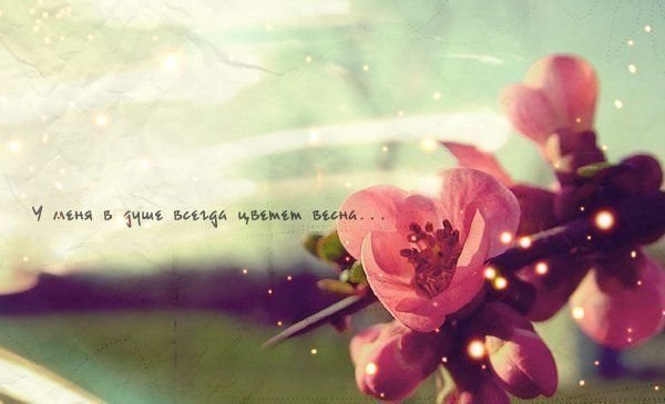 Ирина Фоменко | Санкт-Петербург