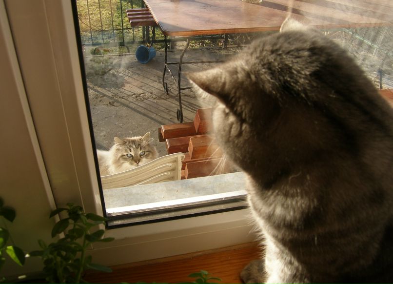 Орест Гудзій | Львов