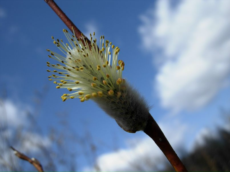 Татьяна Слаутина | Казань