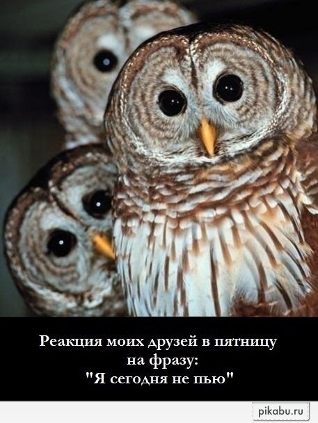 Ольга Дельнова | Красногорск