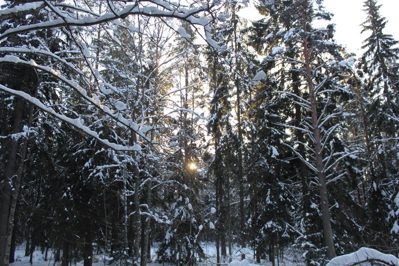 Оксана Кириллова | Санкт-Петербург