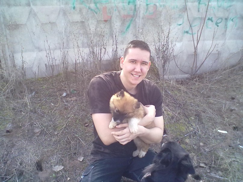 Данис Азизов | 