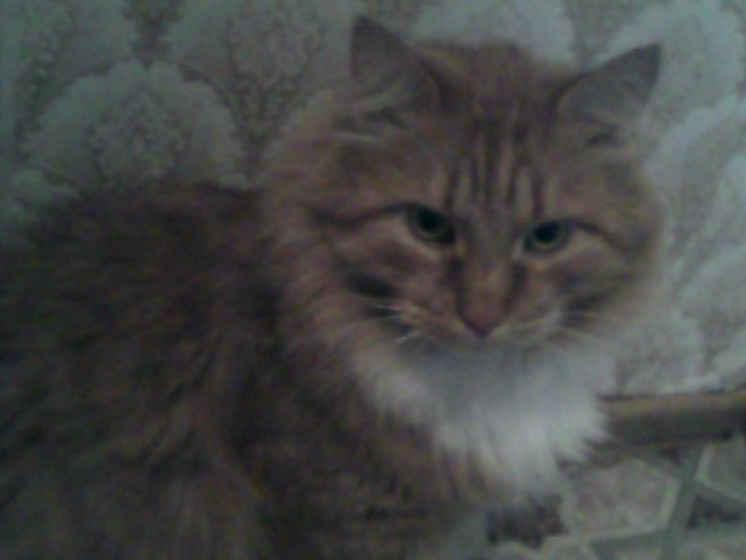 Наталья Федорова | Лахденпохья