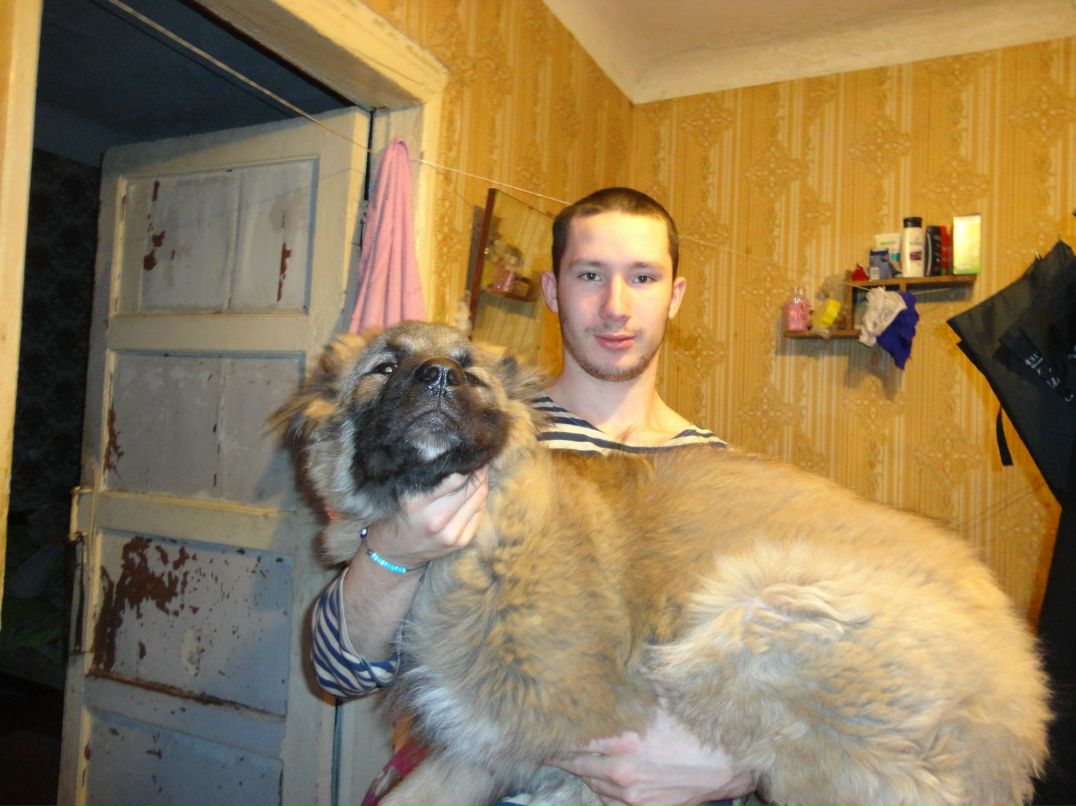 Федор Мешалин | Гатчина