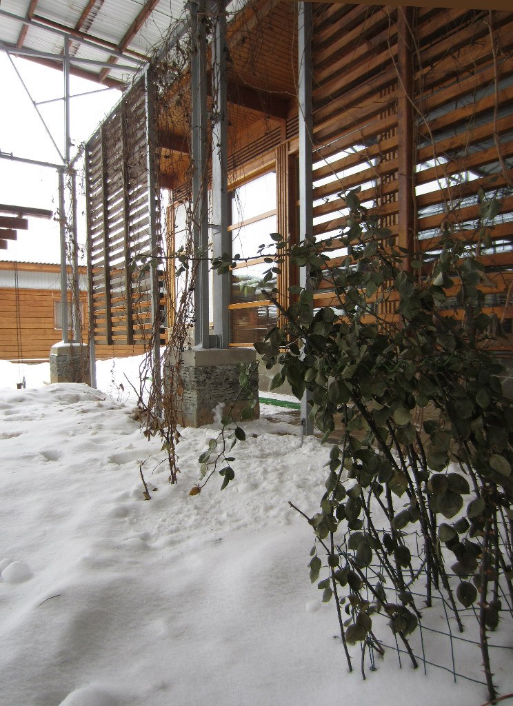 Юлия Мокеева | Москва