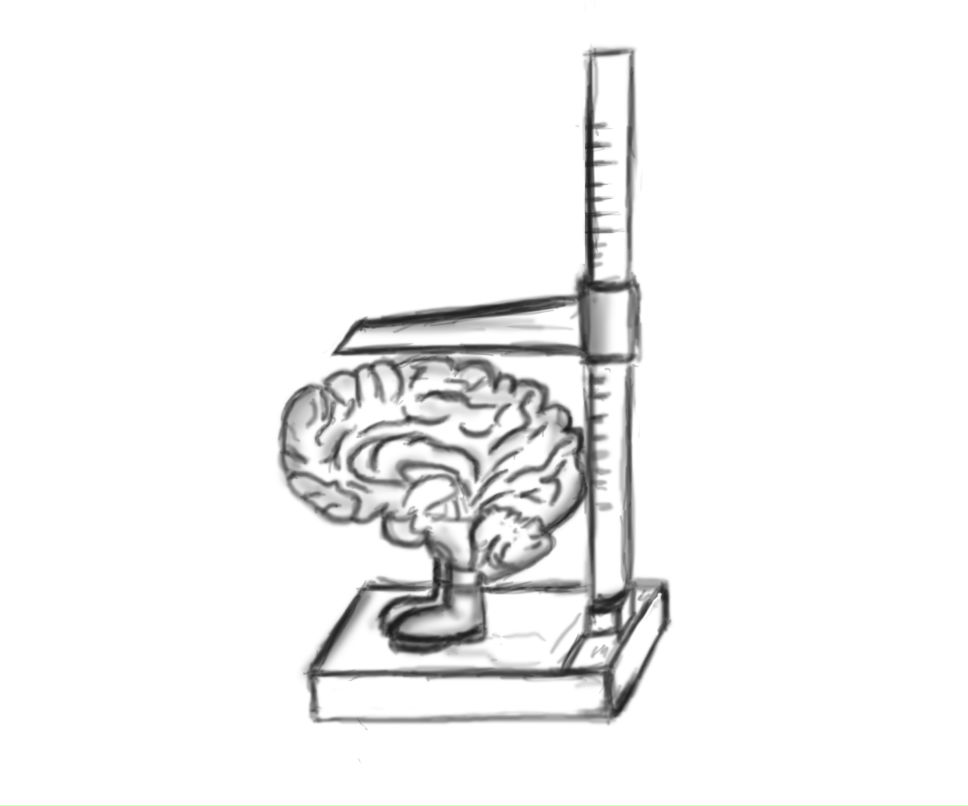 Сергей Шовковский | Харьков