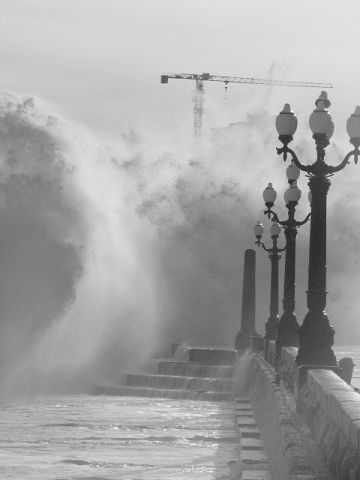 Елисей Бороздин | Ялта