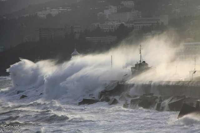 Алёна Кусмарцева Григорьевна | 